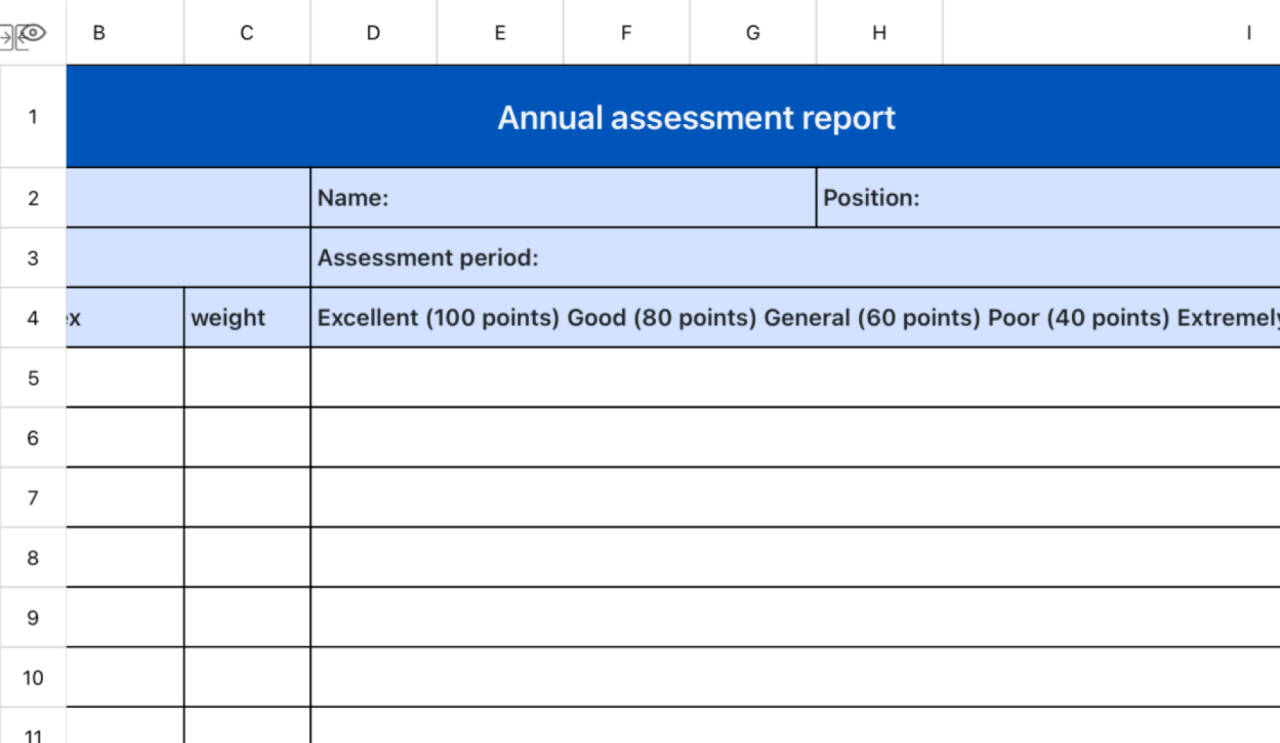 Annual assessment report 1
